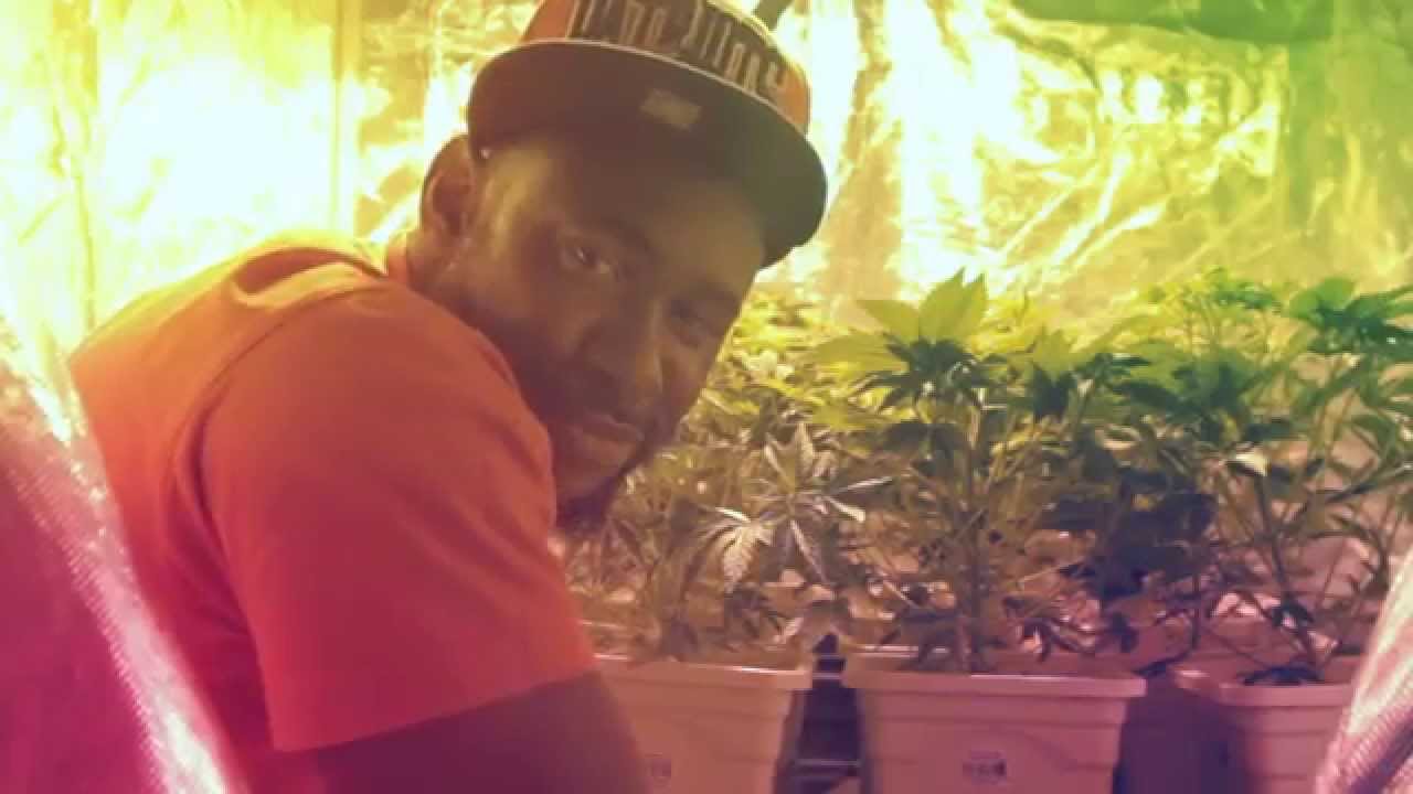 ShoTunez - I Smoke Weed (OFFICIAL VIDEO) Original Version