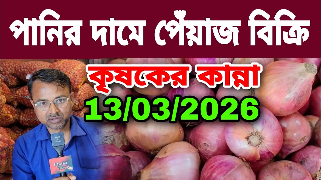 13/03/2026 পানির দামে আজকের বাজার দর পেঁয়াজের খবর | Peyajer Bazar today আলুর পাইকারি দরদাম কত?