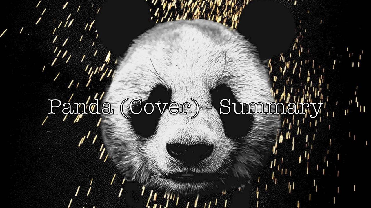 Panda (Desiigner Cover) - Summary
