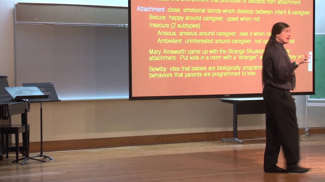 Human Development: Attachment, Ainsworth, Bowlby, and Harlow