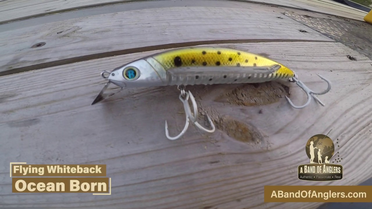 A Band of Anglers - 