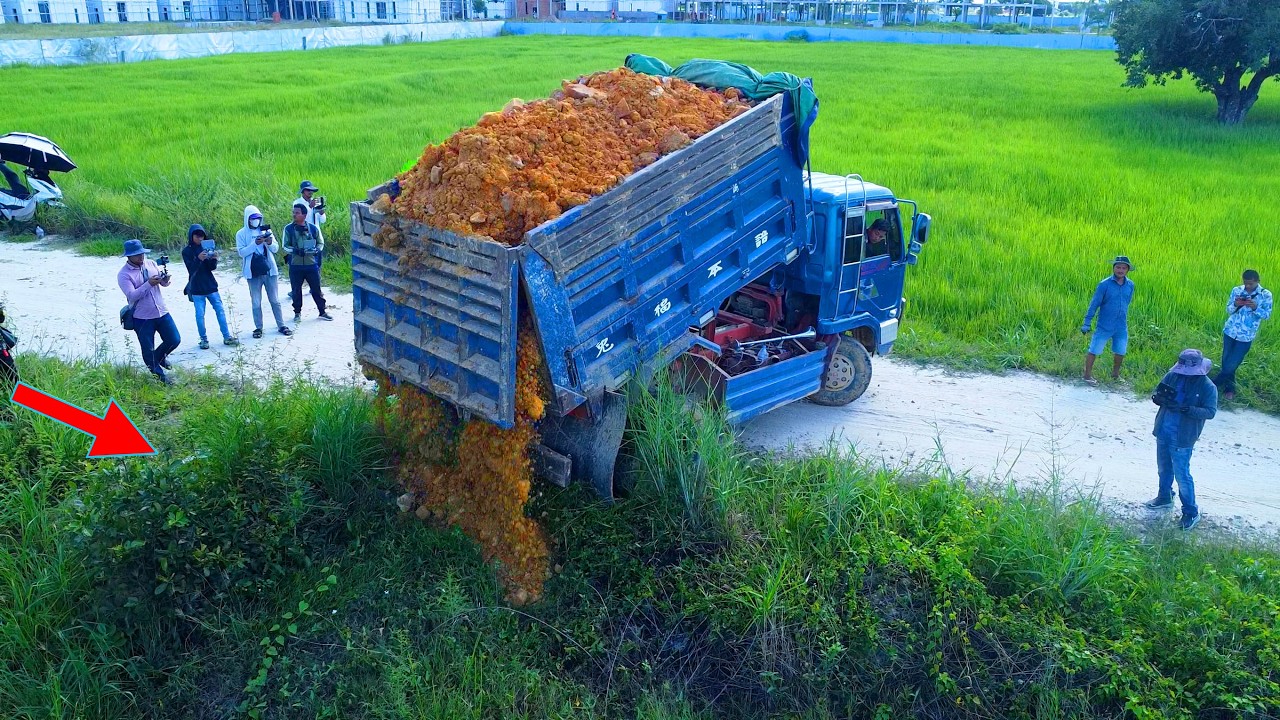 Nicely Start Project! Machine Equipment Action | Bulldozer and Dump Truck Performance!