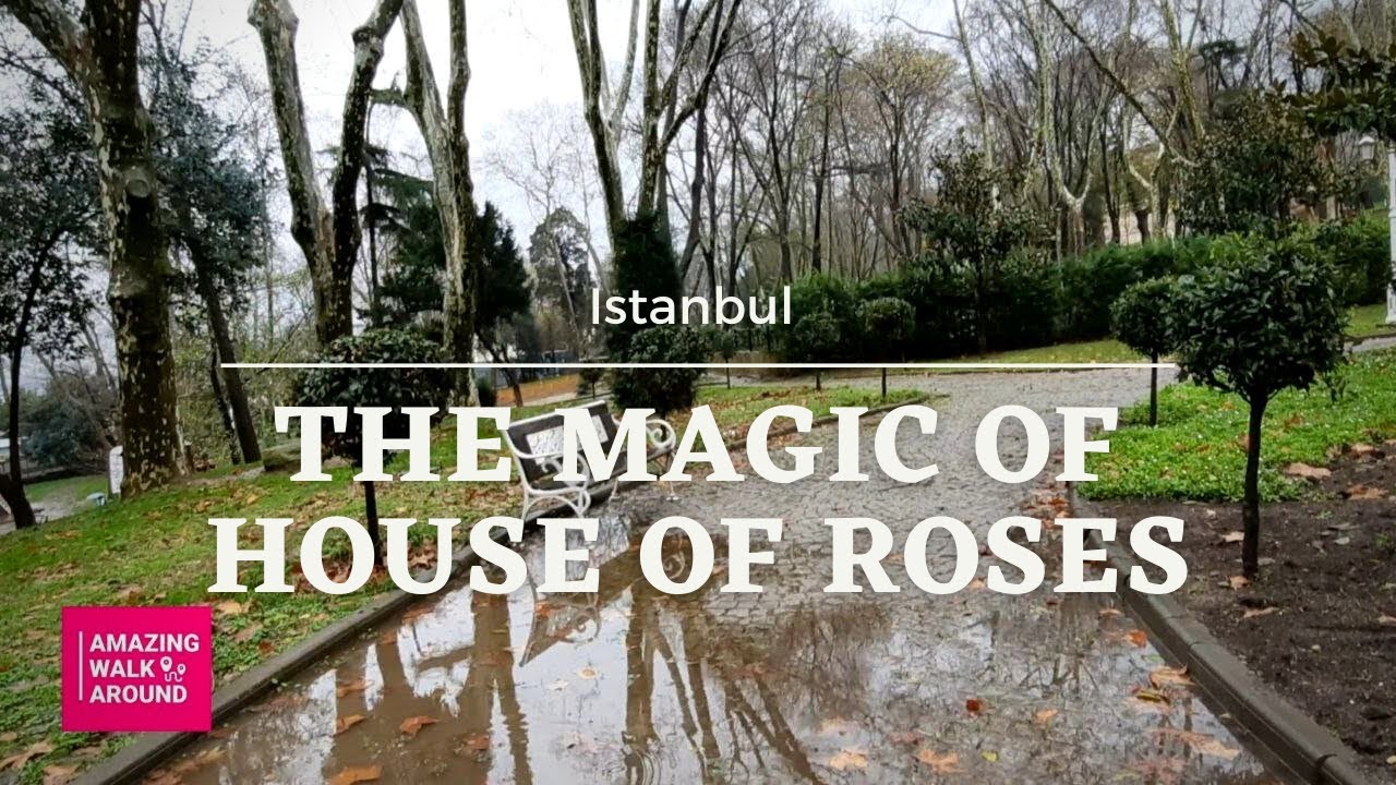 Istanbul Relaxing Video: amazing relaxing walk in rain with nature sound: relaxing sound