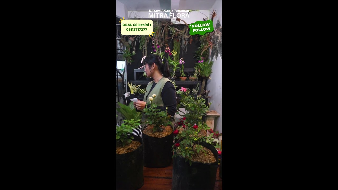 Spill All Tanaman Kak😍