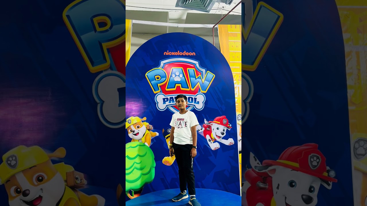 paw patrol/ paw patrol song/paw patrol music/paw patrol cartoon