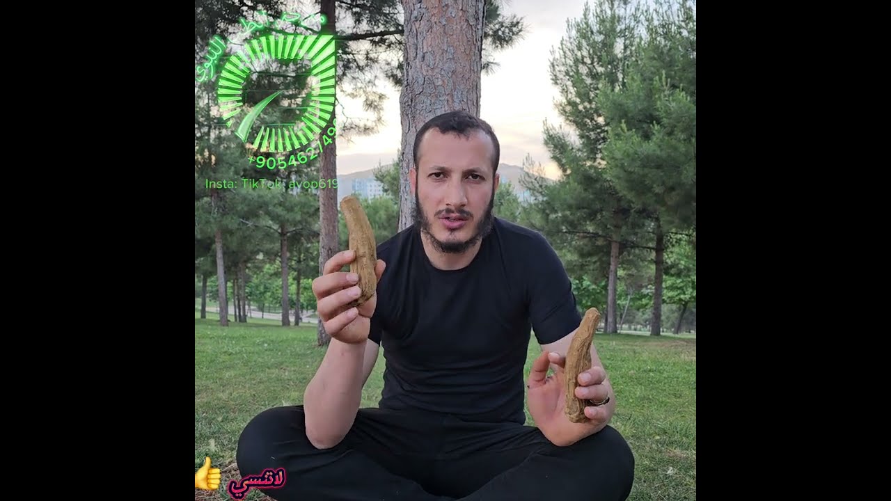 الراوند الصيني الكنز المهمل والعلاج الذي لا تنتهي فوائده (شاهد الفوائد )