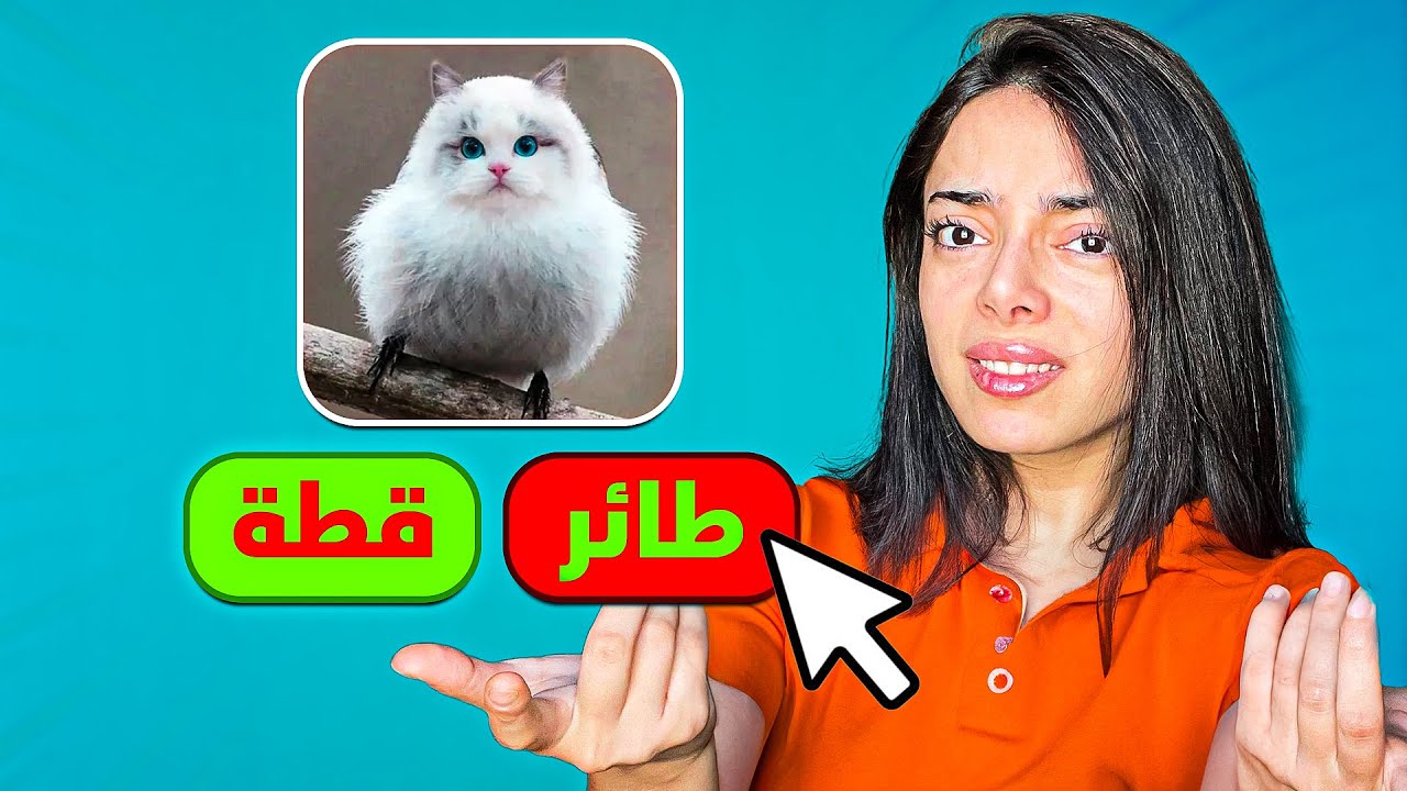هل انا غبية ؟ 😭