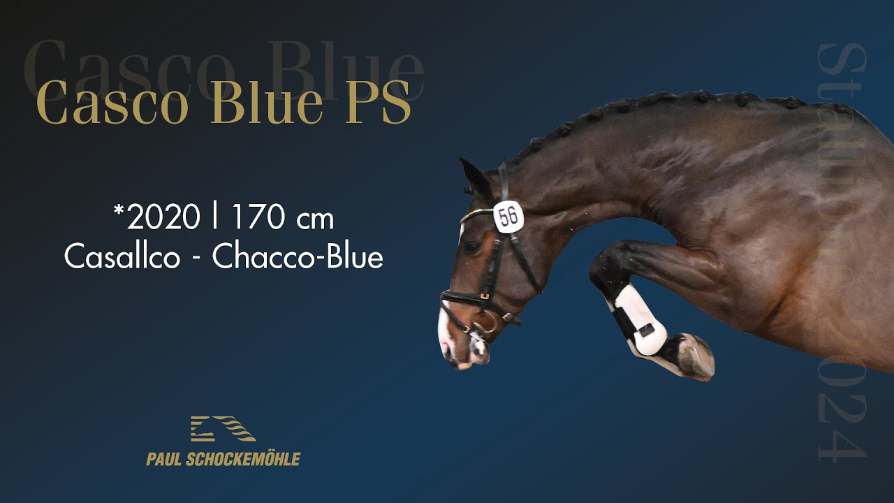 Casco Blue PS