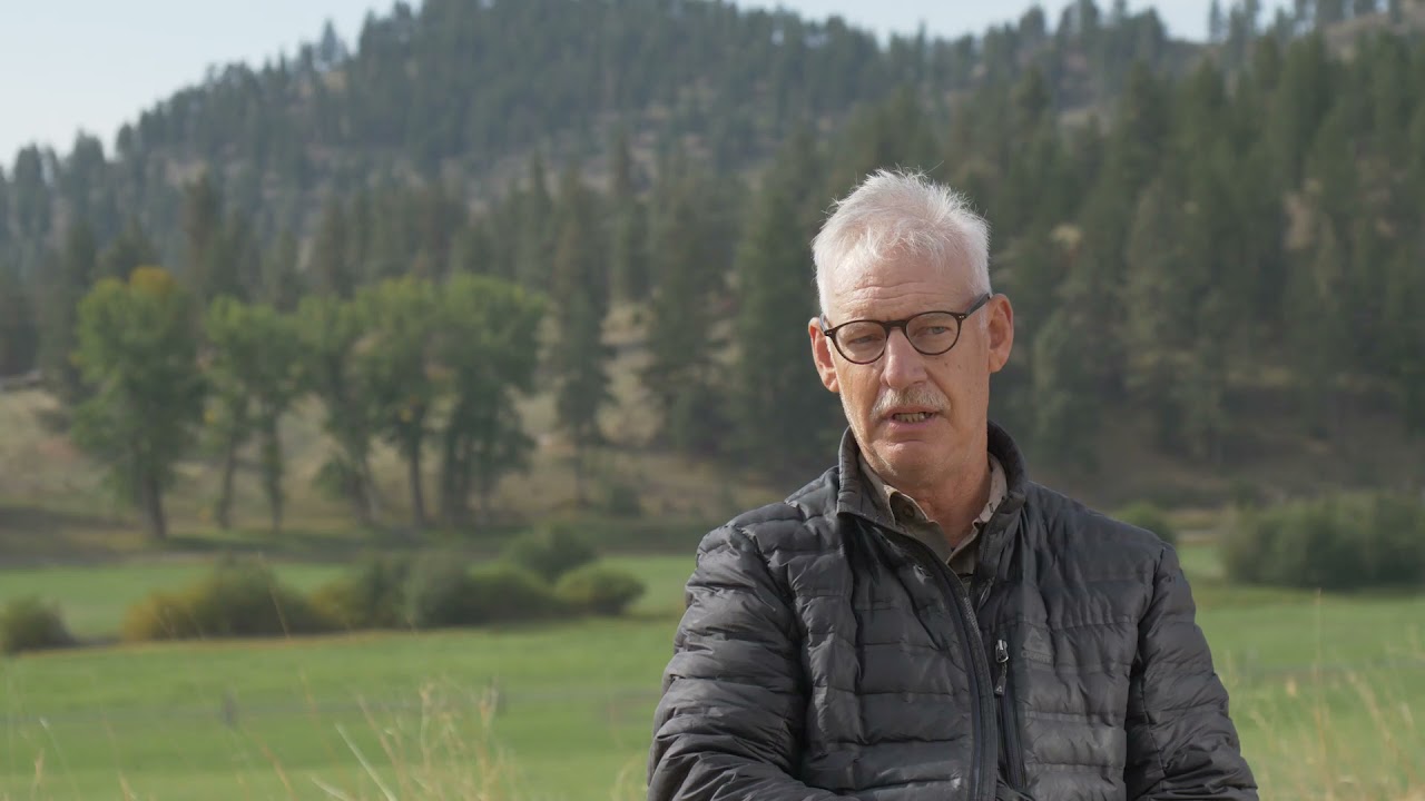 Healthy Forest Through Active Forest Management