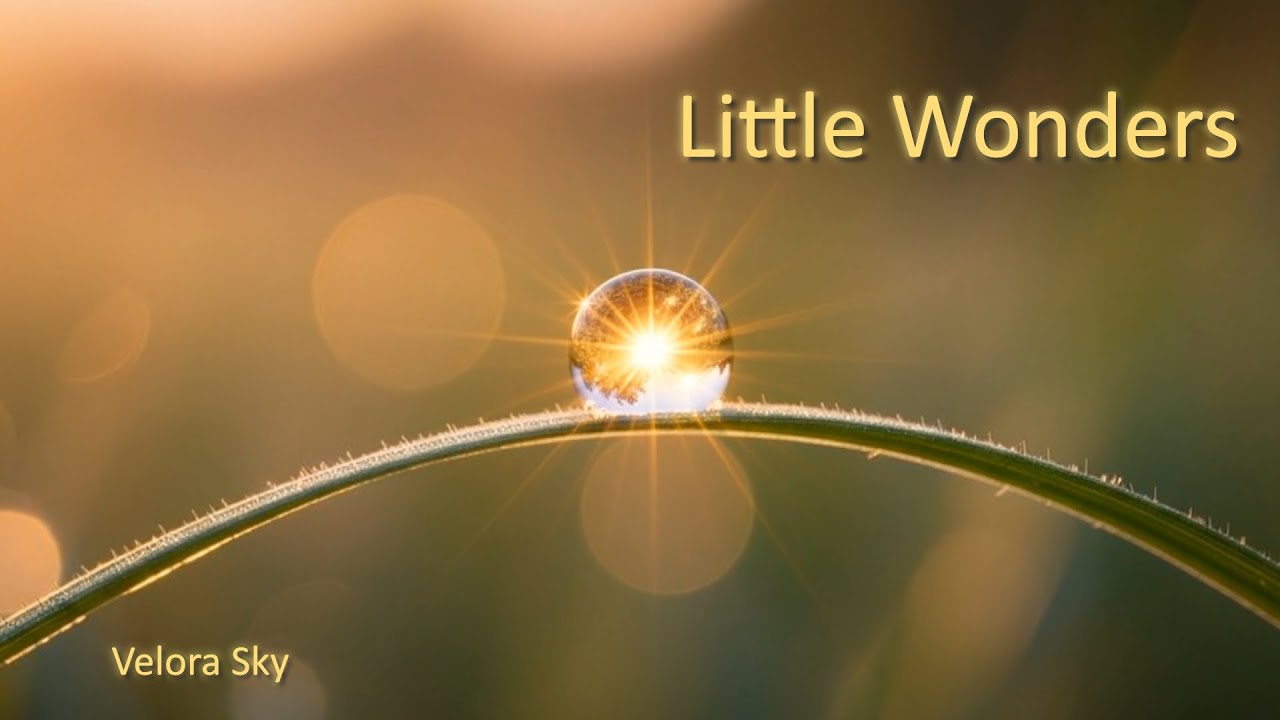 Little Wonders – Velora Sky (Official Music Video | Dream Pop 4K)