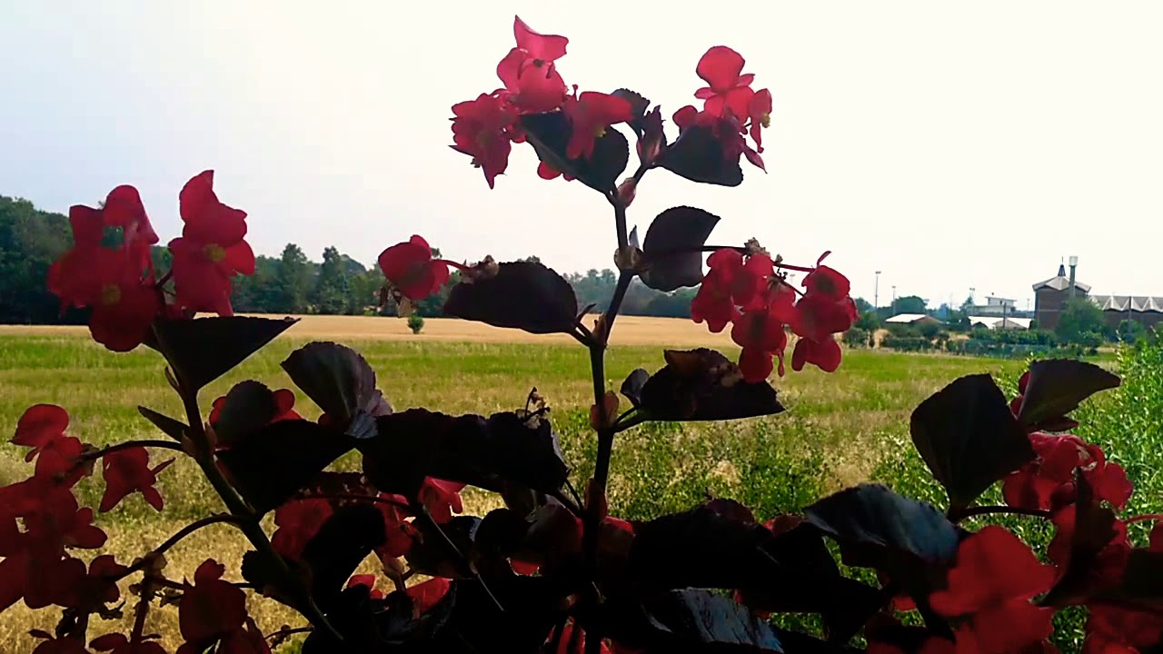 Il mio primo timelapse | proviamo questo treppiede