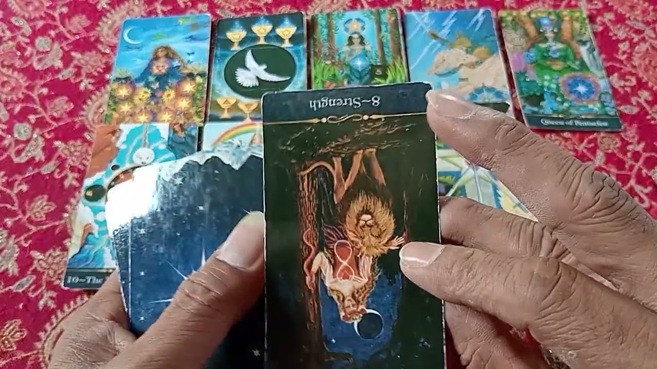 🌹🦋เบื้องบนกำลังจัดสรรสิ่งใดให้กับคุณ 🌹🦋Random