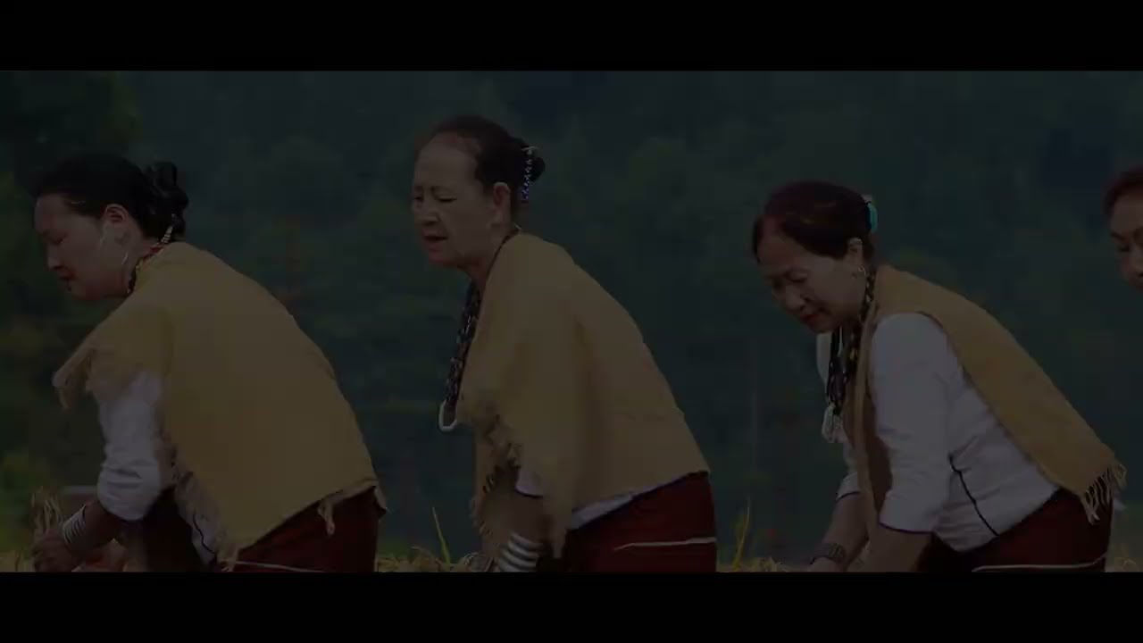 Daminda Music Video/ Apatani Women Welfare Society/ Traditional Dance/ Ziro Valley