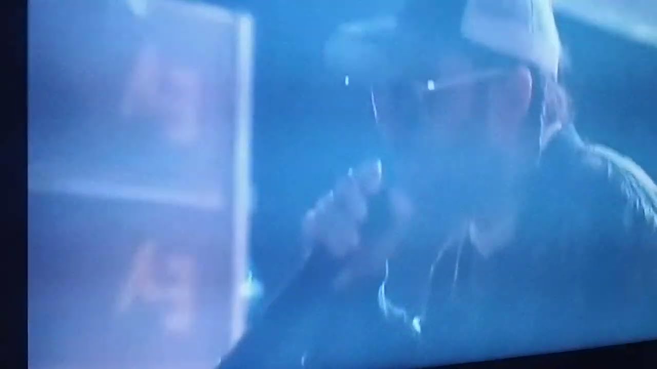 Dalmata - Cómo toda una señora (Medellín)