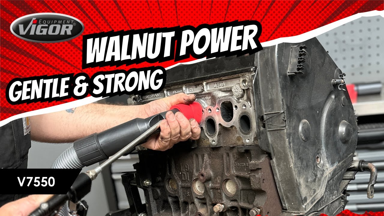 Walnut blasting machine – Gentle cleaning without risk! V7550