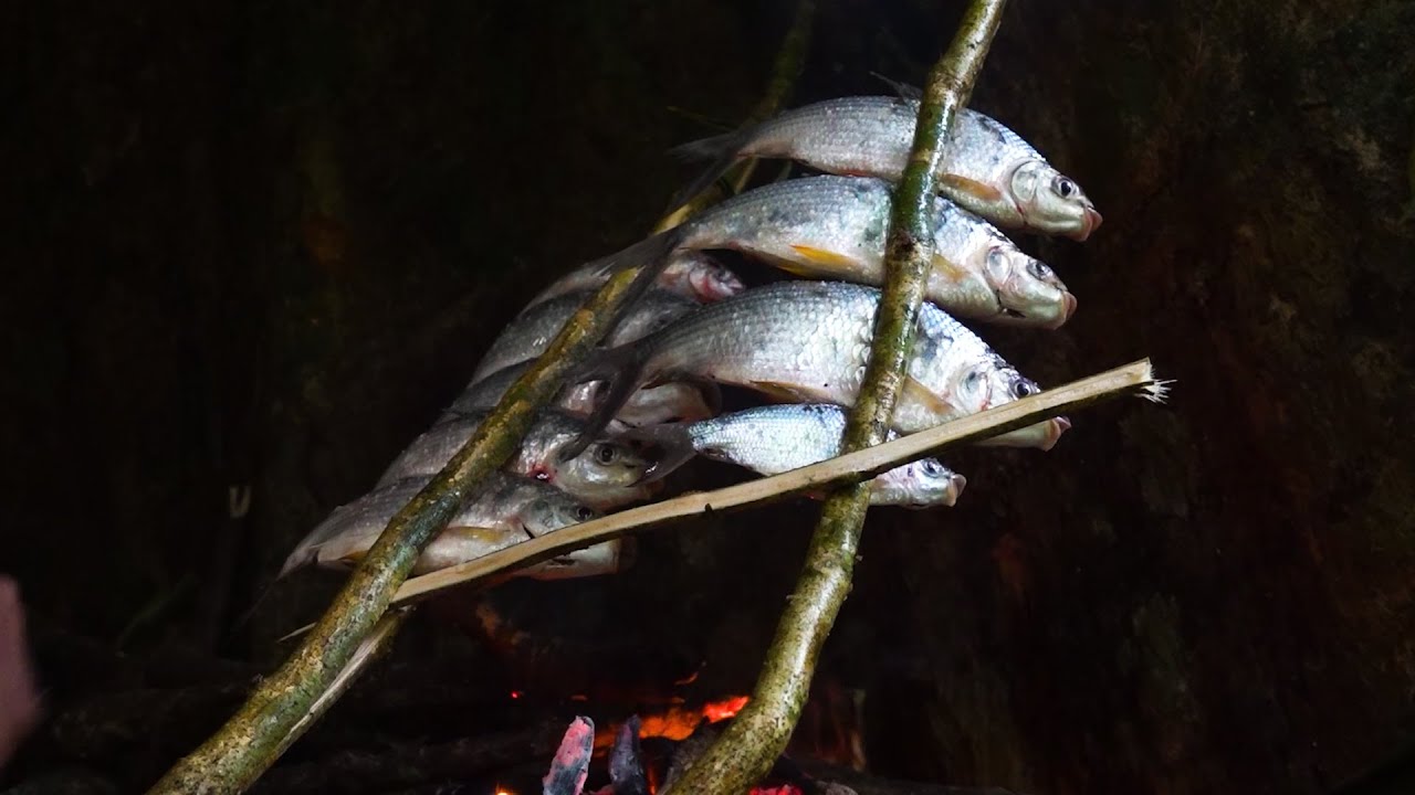 Plenty of wild food all around | 365 Days of Survival in the Deep Forest | Episode 2