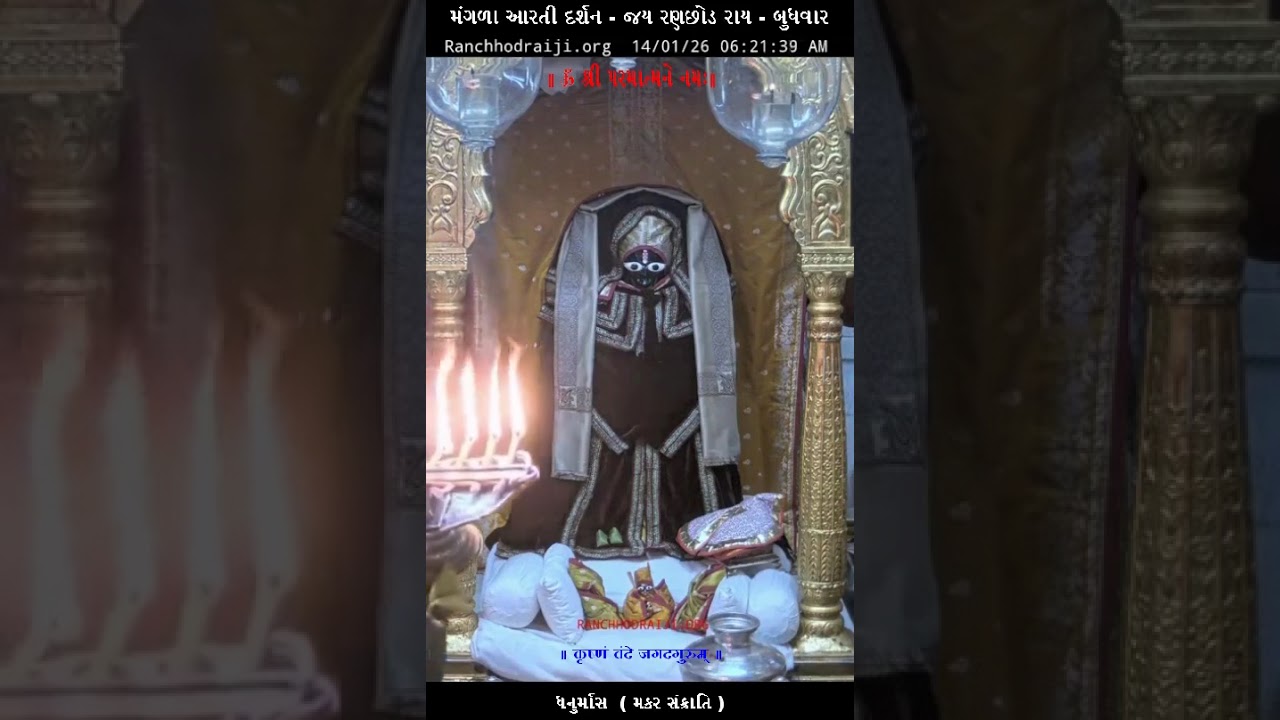 આજ એકાદશી ને મકરસંક્રાંતિ ના રણછોડ રાય ભગવાન ડાકોર મંદિર ના મંગળા આરતી દર્શન. તા. 14/01/26 બુધવાર