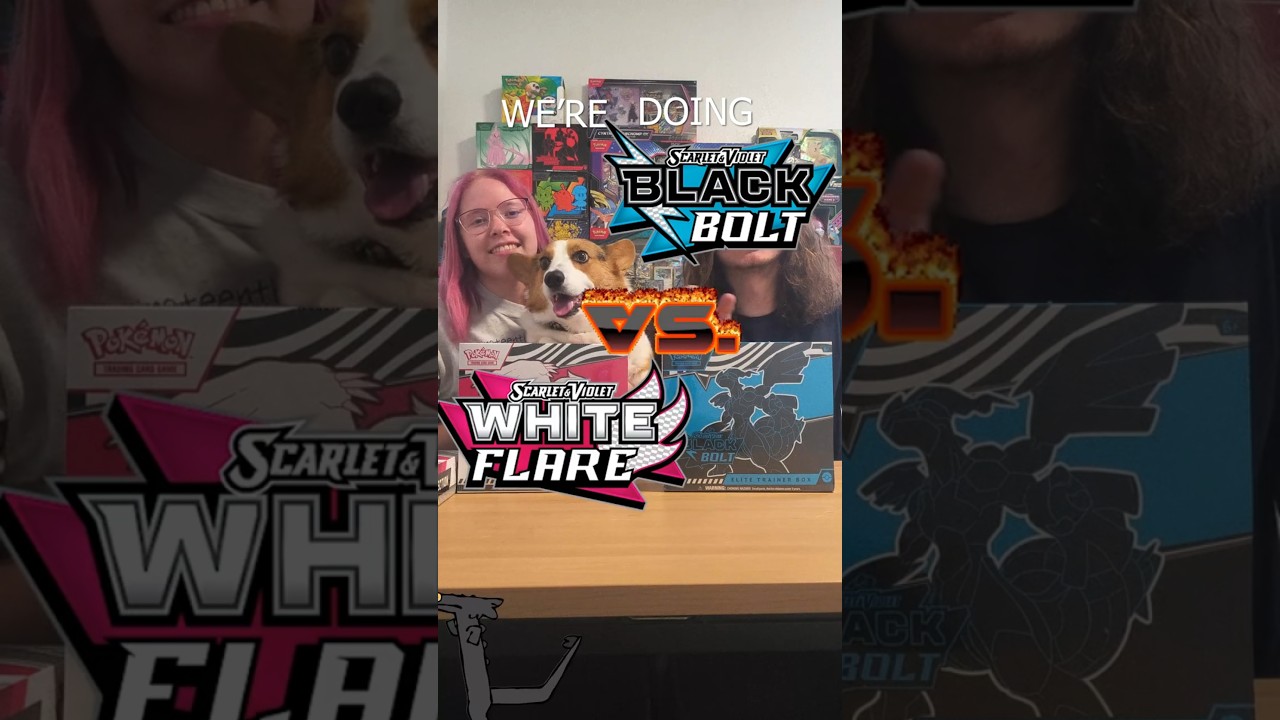 BLACK BOLT VS. WHITE FLARE DAY 1 #ptcgpocket #pokemon #pokemontcg #pokemonpocket #CORGI #nintendo