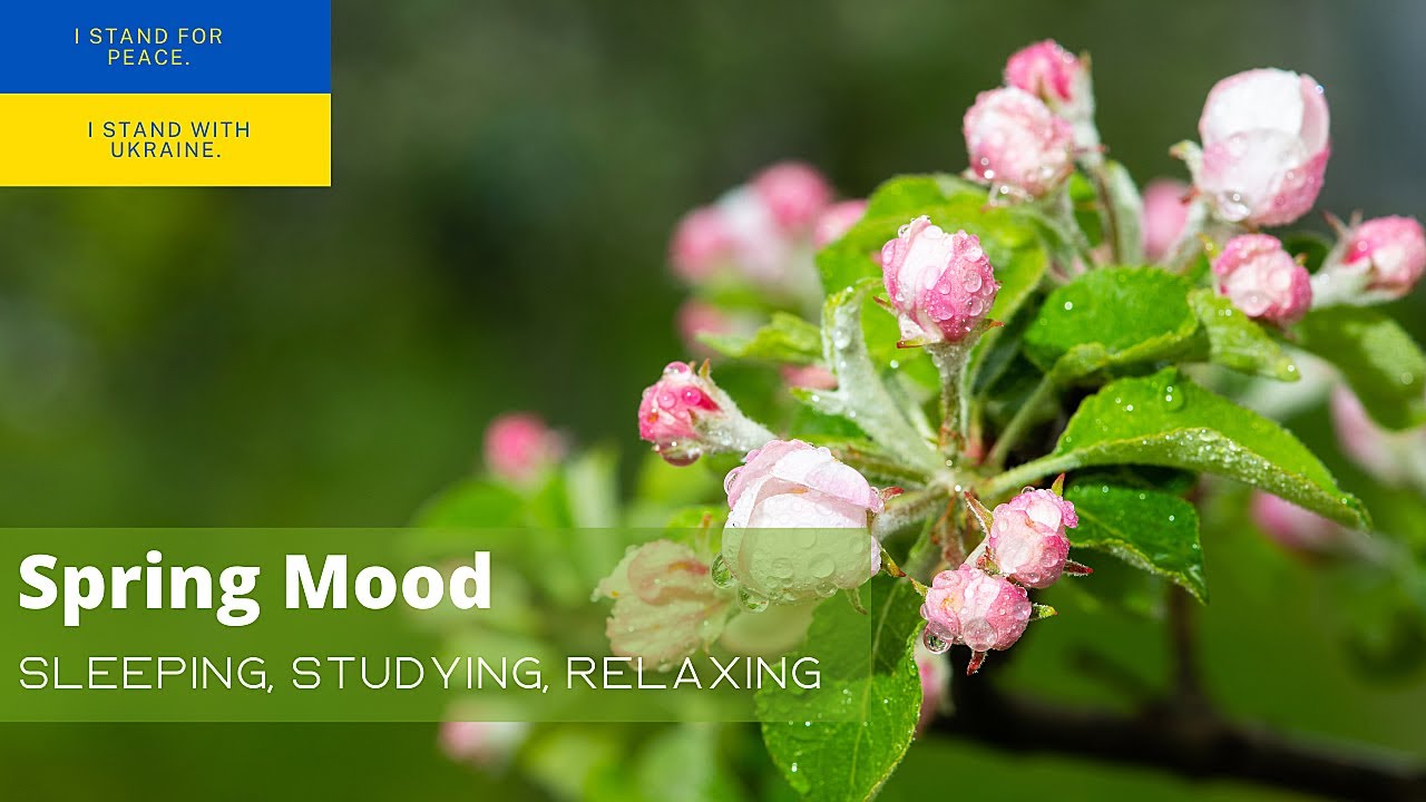 Spring mood. The best music for relaxing.