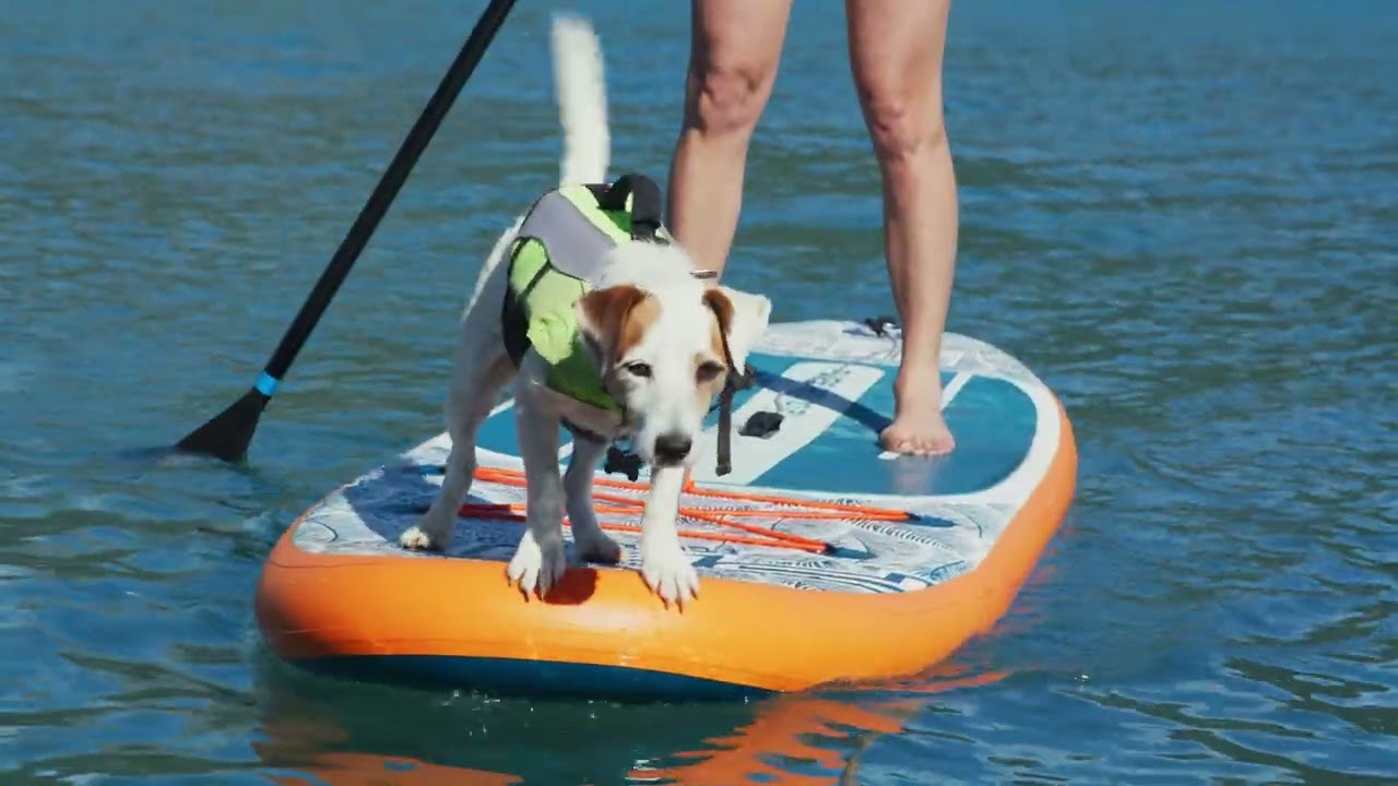 2025 PURE AIR BY AQUA MARINA_Brand Video