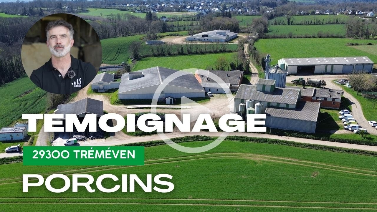 Témoignage éleveur porc : gains technico-économiques et ambiance d’élevage avec SOBAC