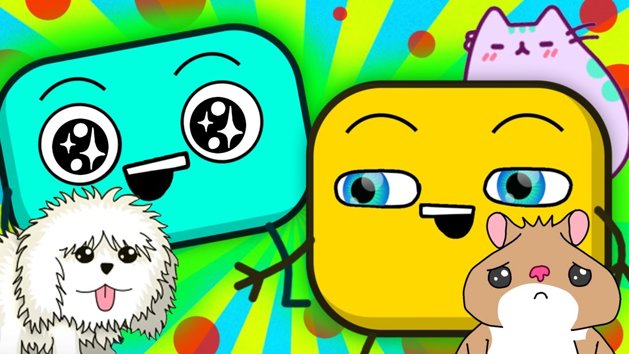 Про Щенков И Котиков – Смешные Животные. Сборник #18 ❒ Кубики.