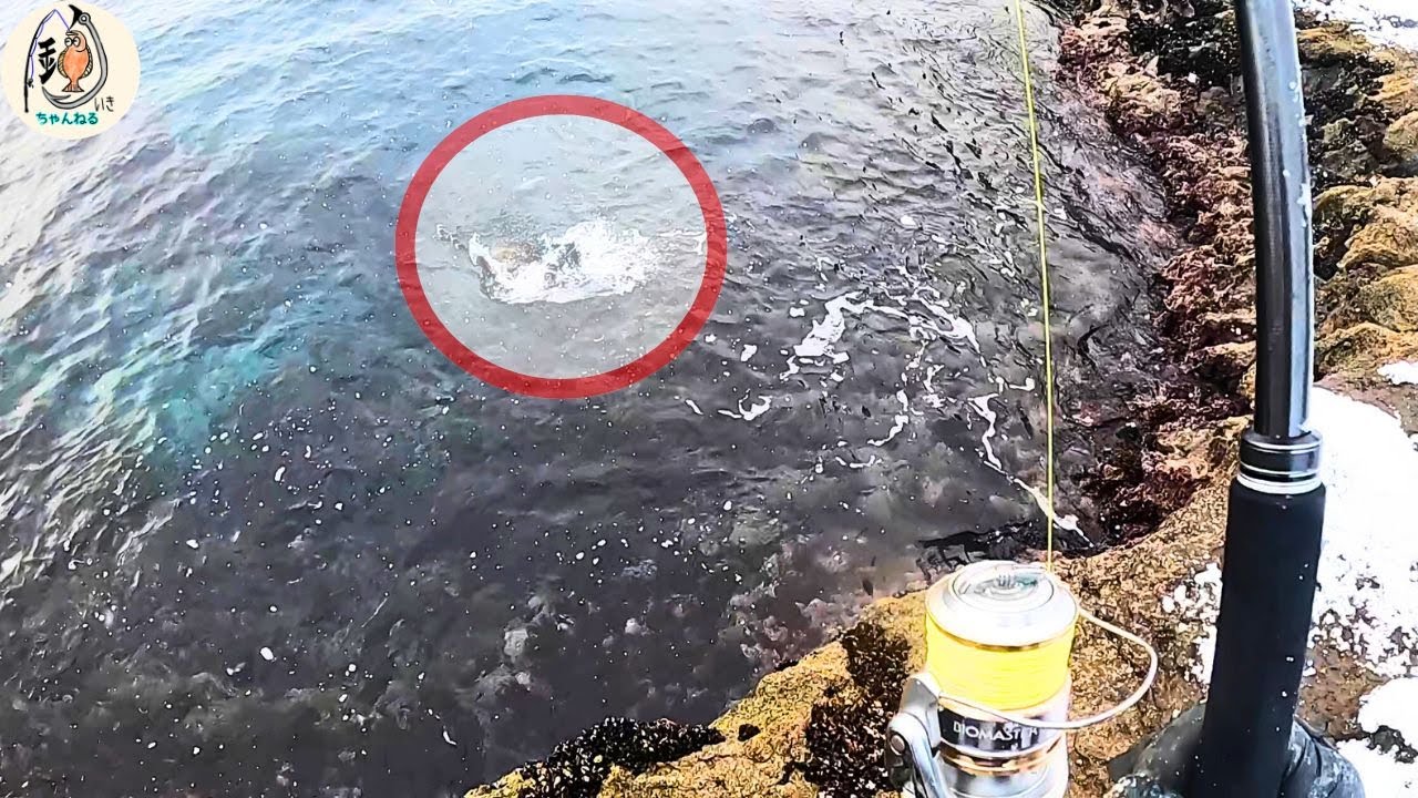 北海道の地磯で足元にイソメを垂らしたら一発で！3泊4日の【投げ釣り】旅　#fishing #釣り