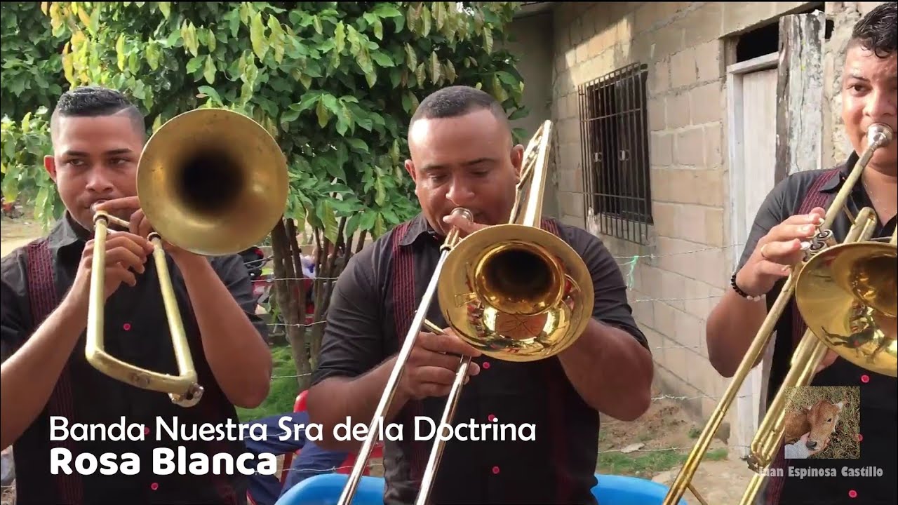 ✅🔥ROSA BLANCA 🌹 - Banda Nuestra Sra de la Doctrina