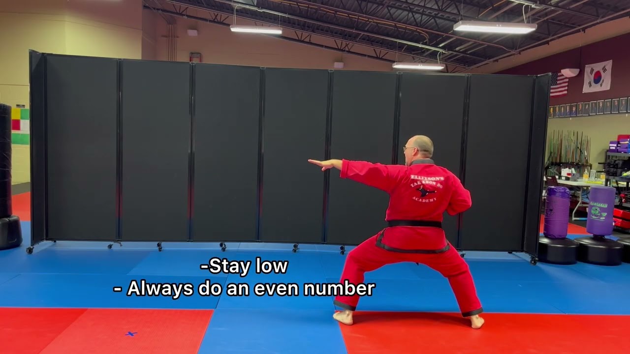 Black Belt Test stance change