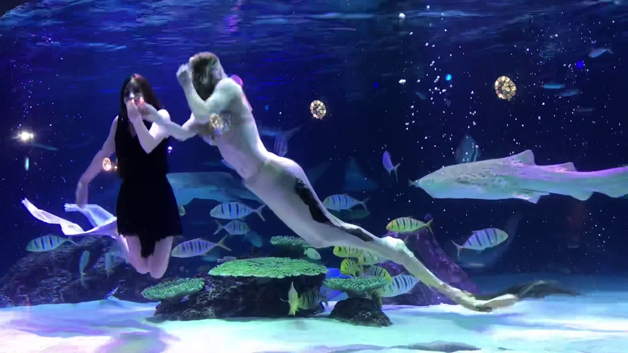 Aqua Planet Mermaid show at 63 Building Seoul South Korea 
