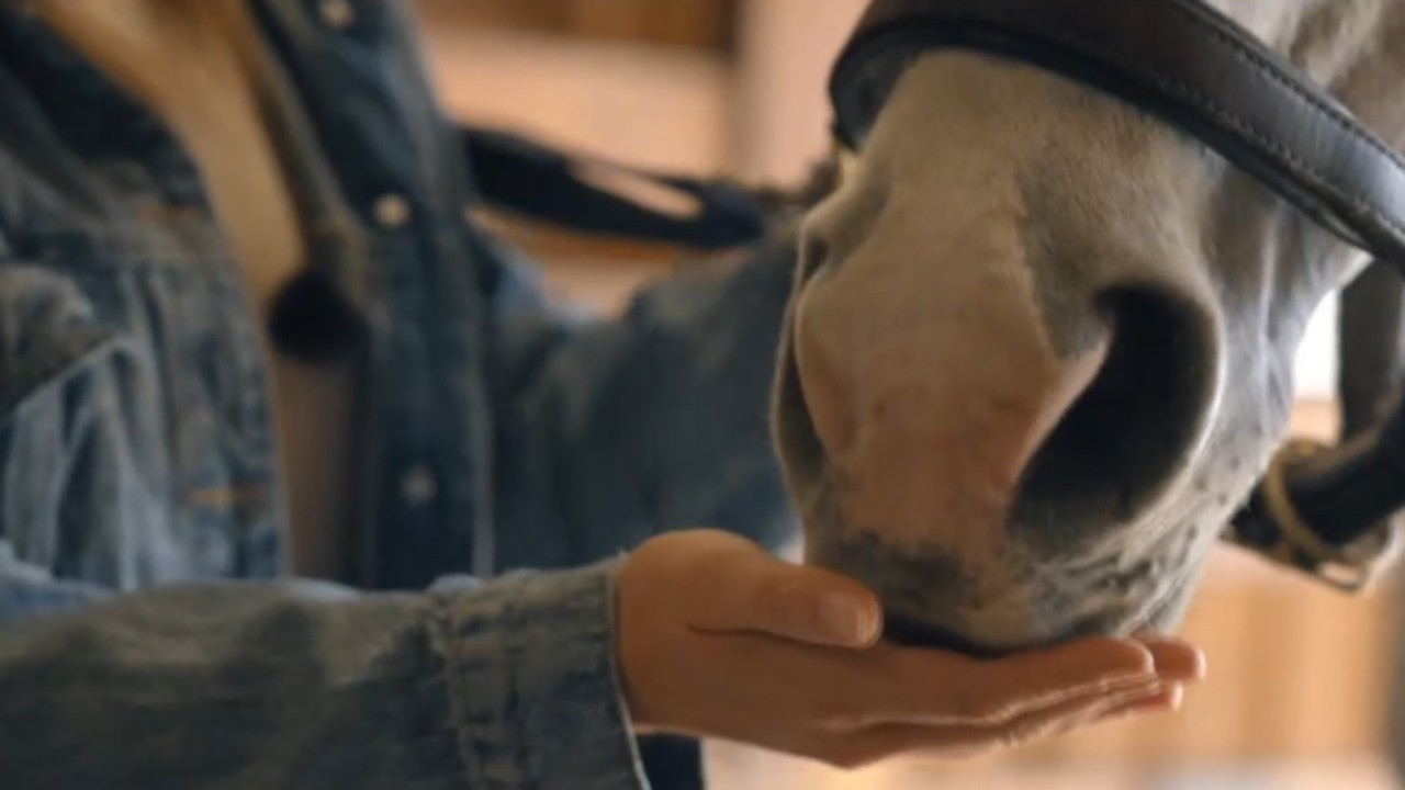 One Tank Trips: Sommerview Farms