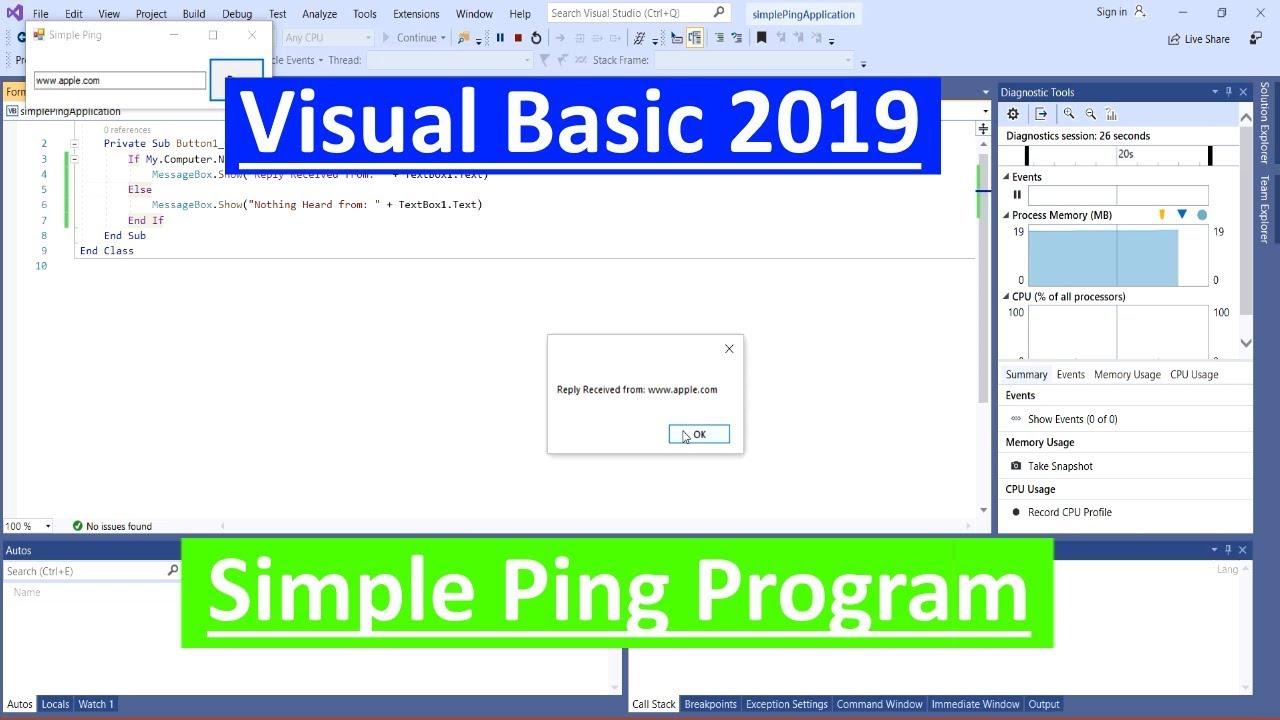 Introduction to Visual Basic Series  - Simple Ping Tool