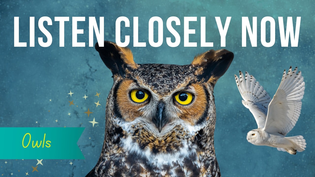 The Owl Spirit Animal | Hidden Messages & Deep Spiritual Awakening