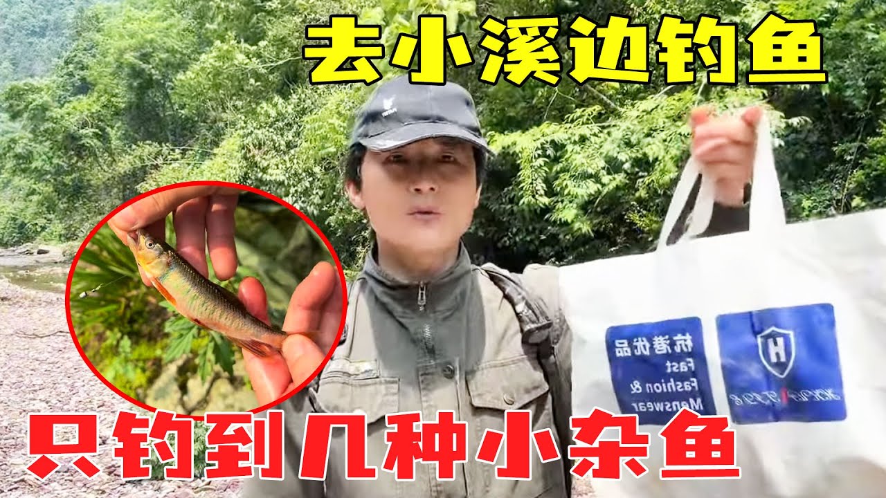 去小溪边钓鱼，运气不好只钓了四种野杂鱼，和辣椒炒了一锅真下饭！【乡野志刚】