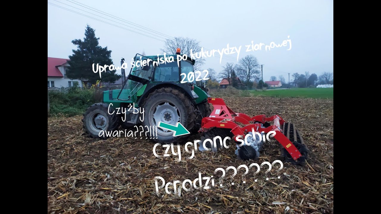 Uprawa po kukurydzy na ziarno 2022! Talerzowanie Po Kukurydzy - Czy Grano Poradzi Sobie Z Taką Masą?