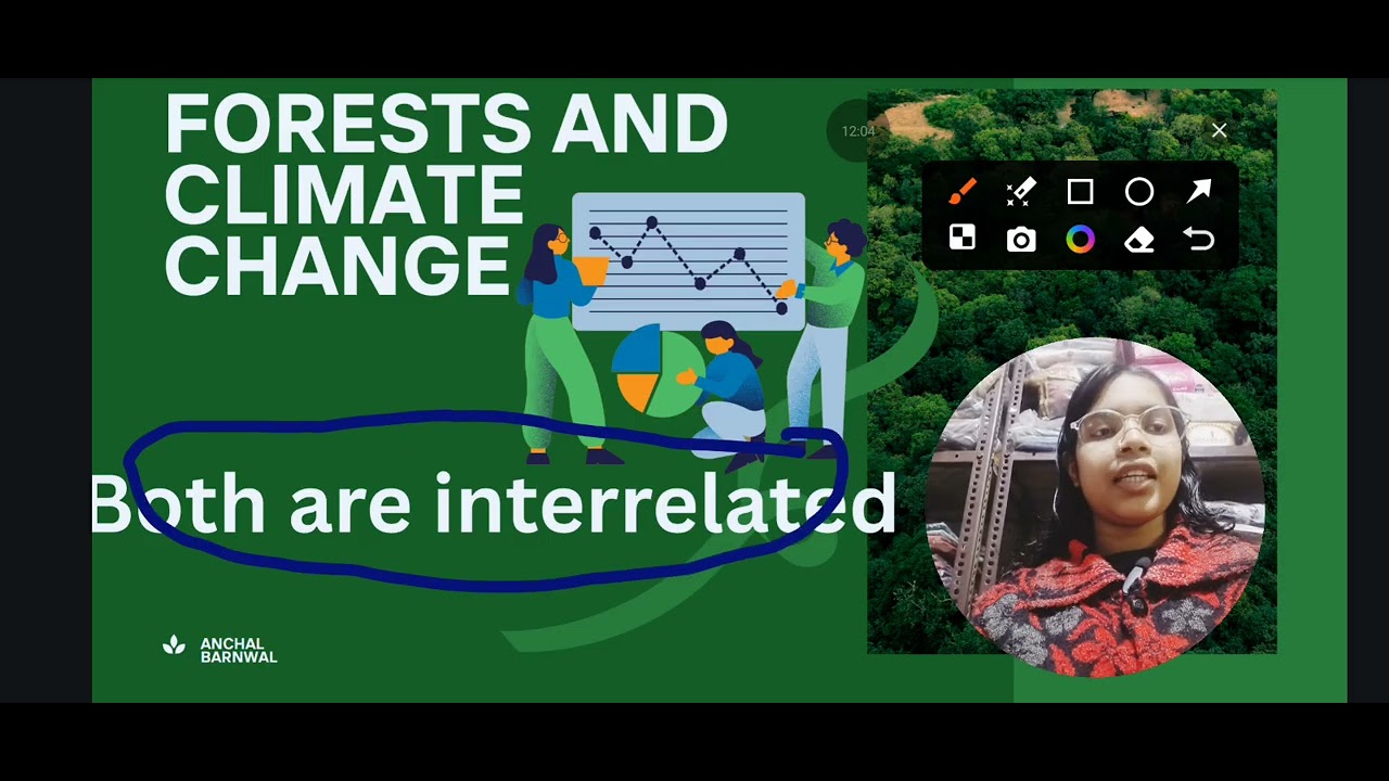 About forest Part -2 layers, forest and climate change # UPSC and CTET exams 🌳🙂🌳🙂🌍🌲🌴🎄🎋
