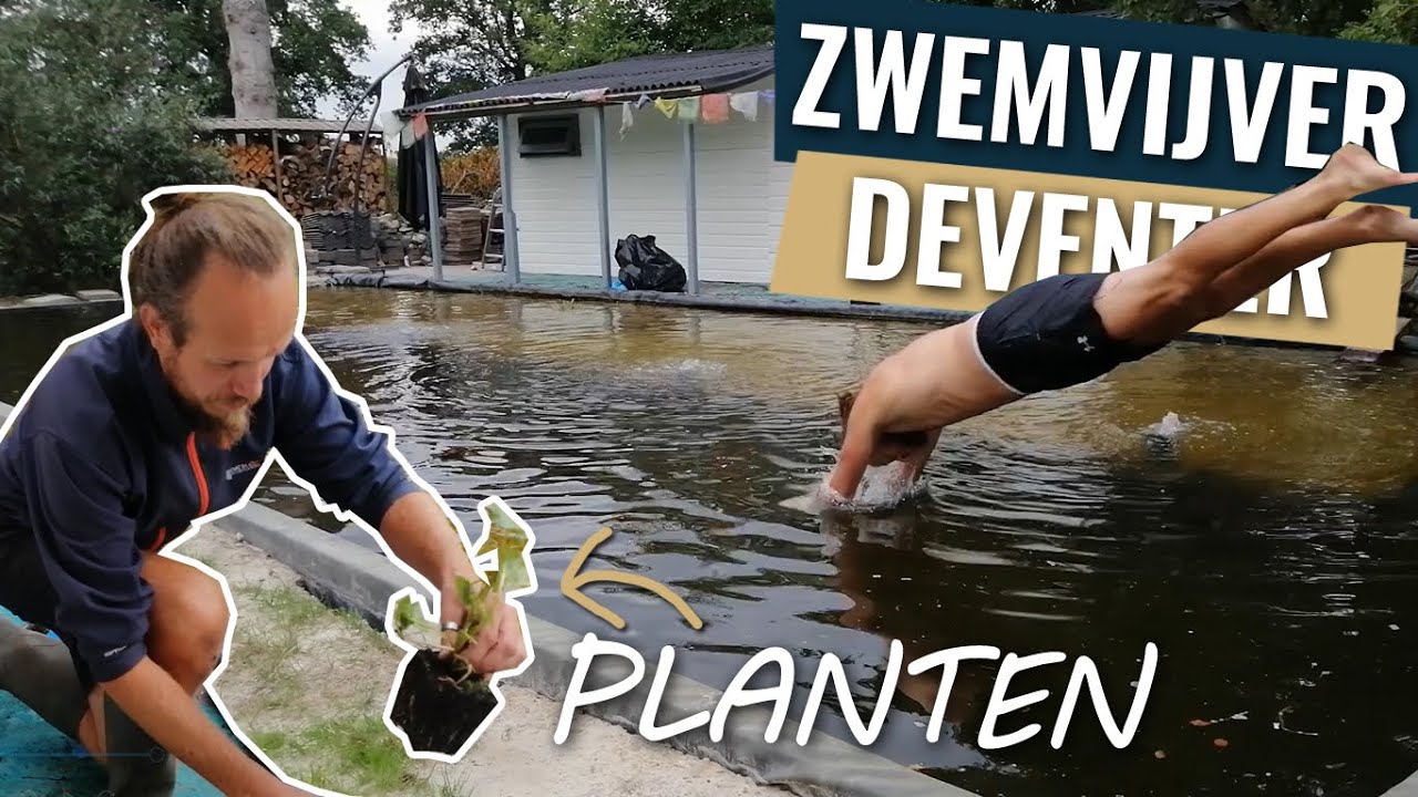 Planten voor de zwemvijver | Bouwverslag zwemvijver Deventer deel 12