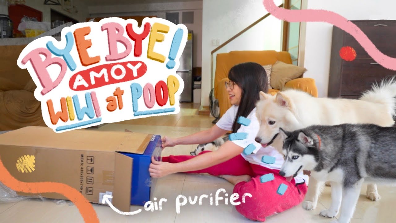 AIR PURIFIER FOR DOGS? (UNBOXING LASCO SMART WIFI AIR PURIFIER)