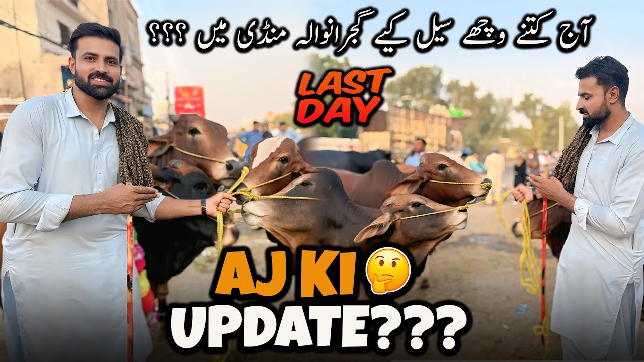 Bakra Mandi Gujranwala Update 🤔 | وقار بنڈر نے آج کتنے وچھے فروخت کیے ؟؟؟