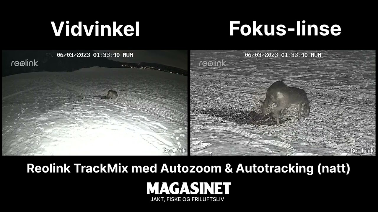Reolink TrackMix (natt)