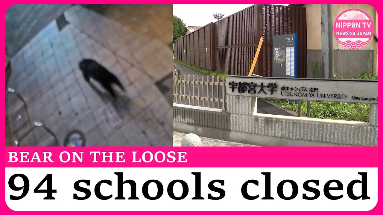 Bear sightings shut schools as capture efforts intensify in Japan city