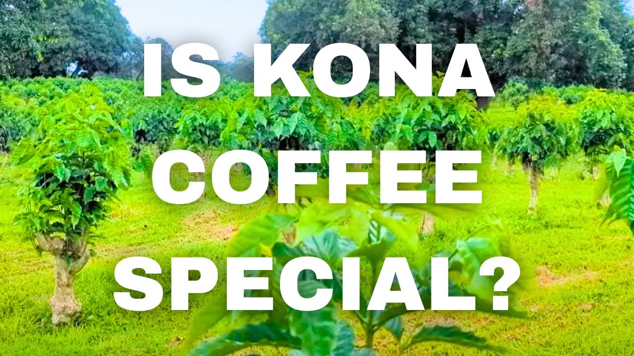 I Went to Hawaii to Test Kona Coffee