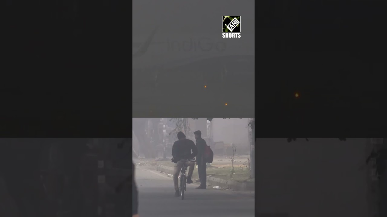 Cold waves, dense fog continue to grip Delhi, locals huddle around bonfire