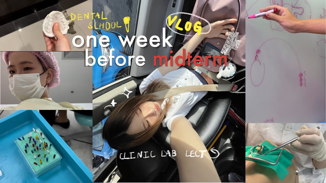 one week before midterm ชีวิตก่อนสอบของทันตะจุฬา 🦷 khxmkhem
