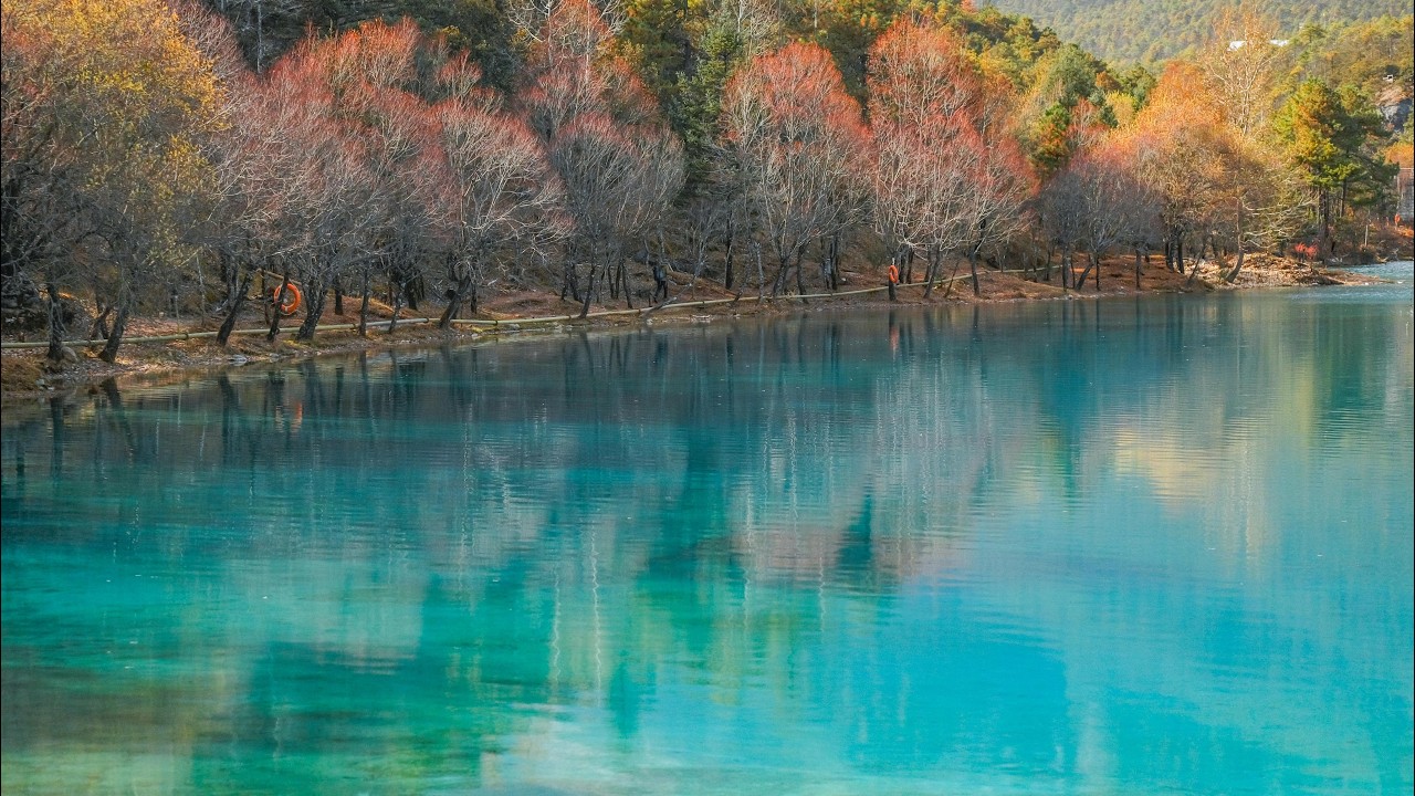 Месть за генерала Алексеева! Виновники задержаны — реакция Путина потрясла Запад