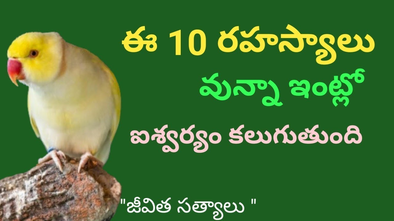 ఈ 10 రహస్యాలు వున్నా ఇంట్లో  ఐశ్వర్యానికి కోదవే లేదు.I Family success Secrets