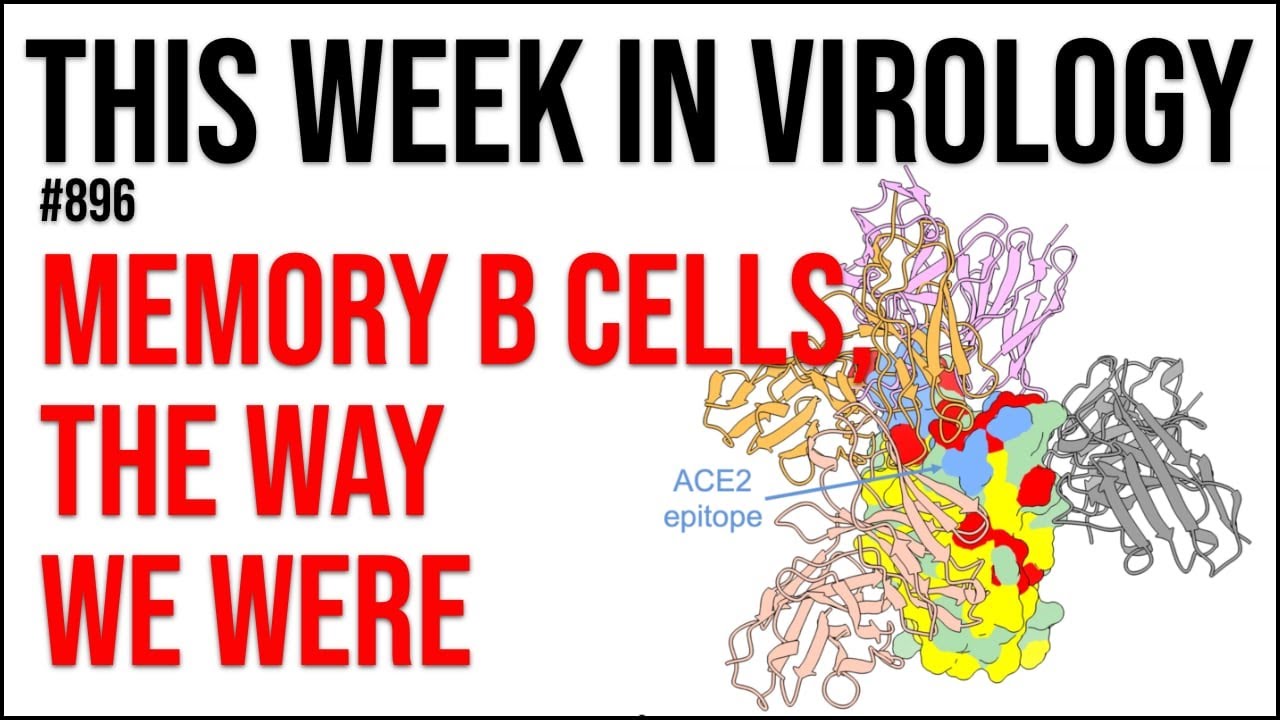 TWiV 896: Memory B cells, the way we were