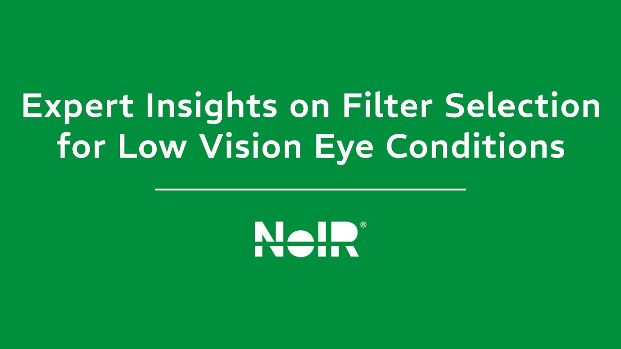 Insights on Low Vision Filter Selection