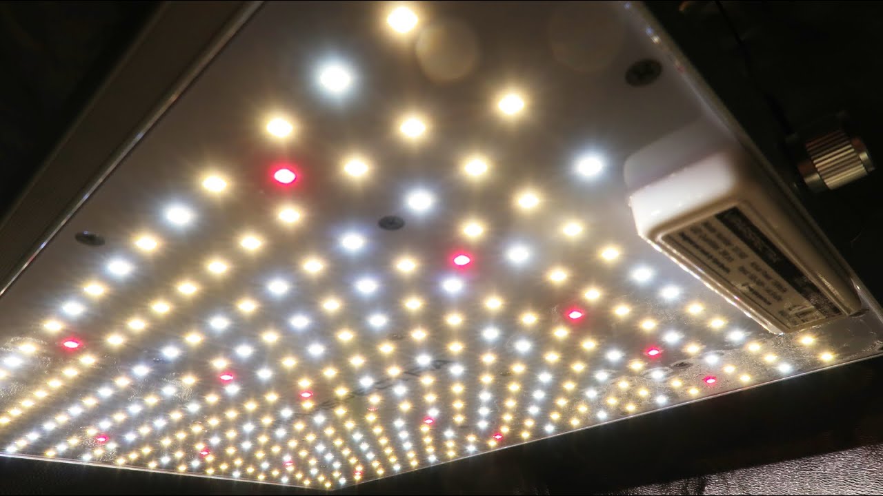 VIPARSPECTRA XS Series XS1500 LED Grow Light Unboxing, PAR Test & Heat Test!