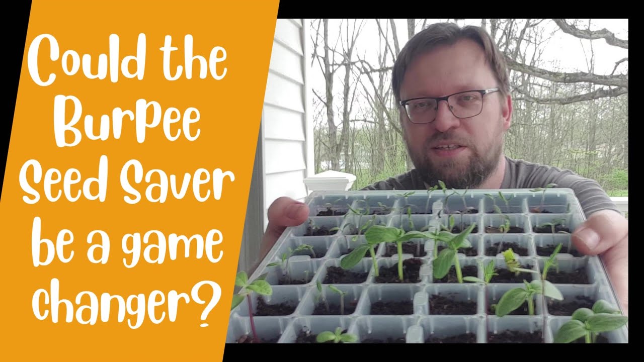 Burpee SuperSeed tray may be a game changer